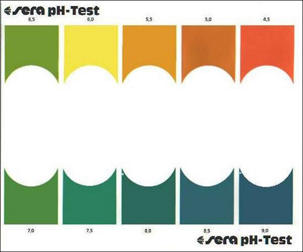 Hướng dẫn đo độ pH trong hồ cá bằng dung dịch pH test