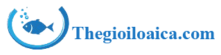 thegioiloaica.com